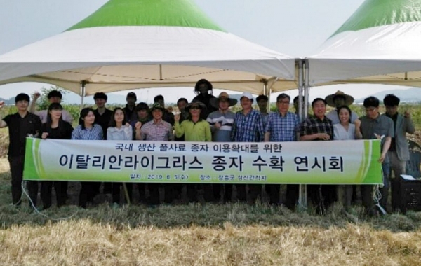관산읍 삼산간척지에서 ‘이탈리안 라이그라스 종자 수확 연시회 개최