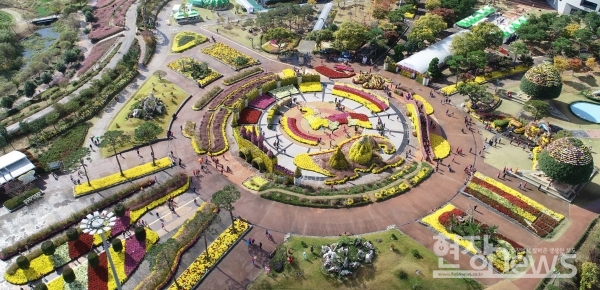 지난해 축제 당시 중앙광장 내 핑크뮬리 꽃길 및 전경(사진=함평군 제공)
